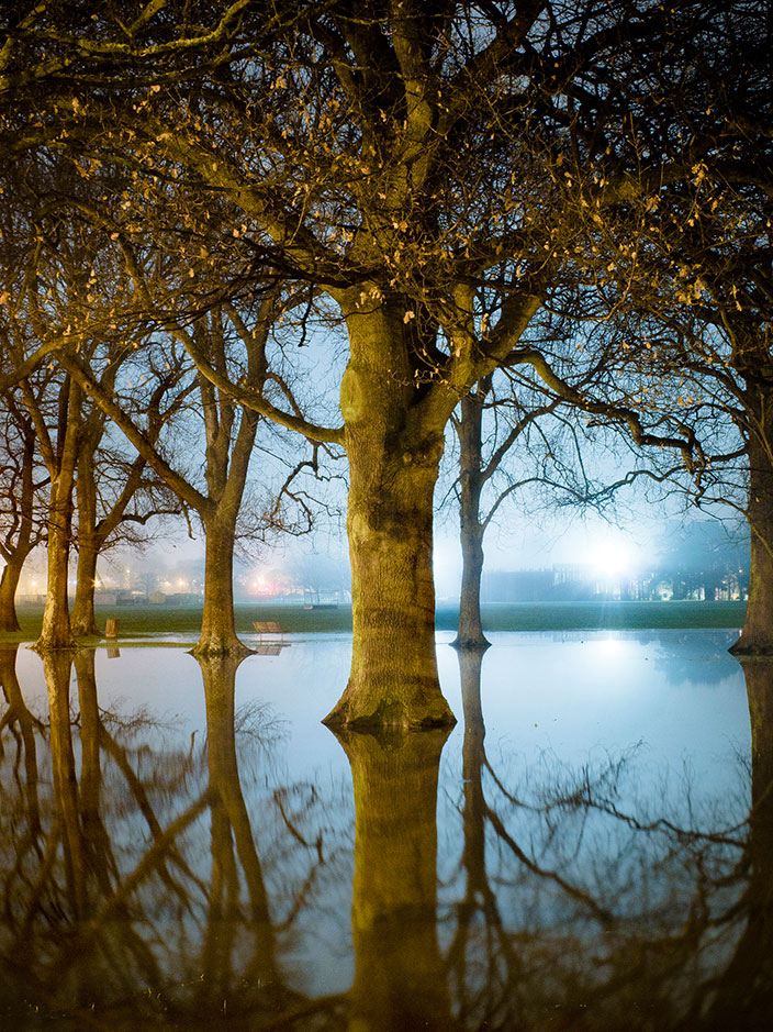 Cover-More New Zealand Facebook photo competition winner: Trees at night in a flooded park in Christchurch