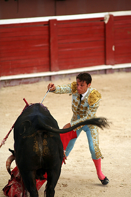 Bullfighting in Spain has decreased in popularity in recent years but remains an important part of the culture.