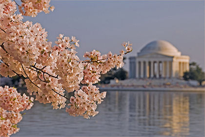 The Jefferson Memorial in DC is one of the many free attractions the city has to offer.