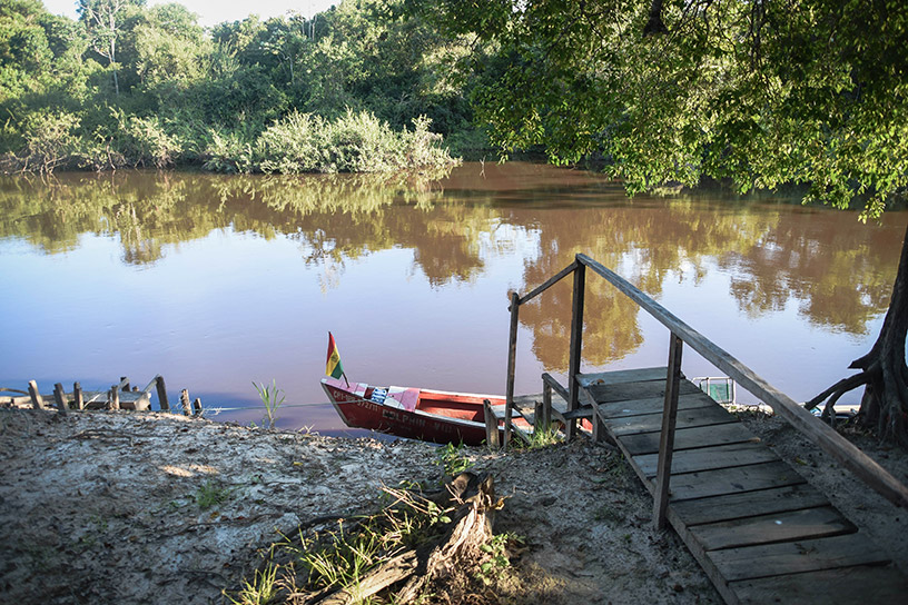 amazon jungle