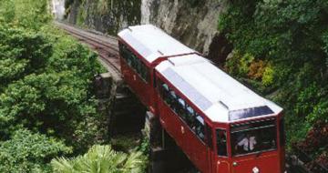 Train Guangdong 