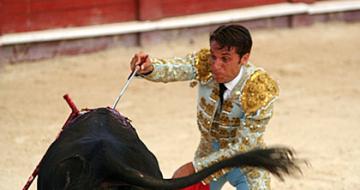 Bull fighting Spain