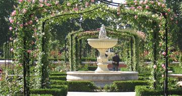 Garden in Madrid