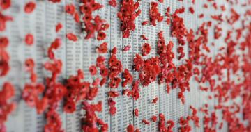 Poppy wall war memorial canberra