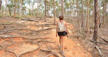 hiking mount barney