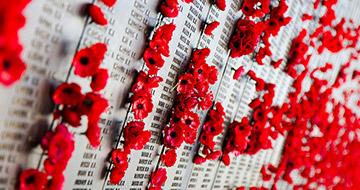 poppy wall