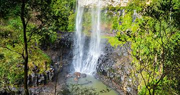 south east qld walks